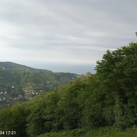 Sahile Yakin Dag Koyunde Bir * Trabzon