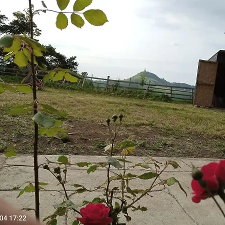 Villa Sahile Yakin Dag Koyunde Bir Trabzon
