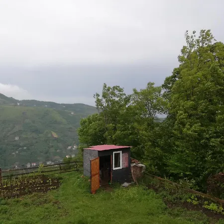 Sahile Yakin Dag Koyunde Bir * Trabzon