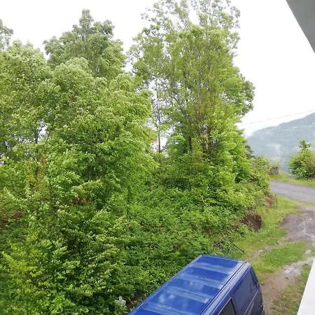 Sahile Yakin Dag Koyunde Bir Trabzon