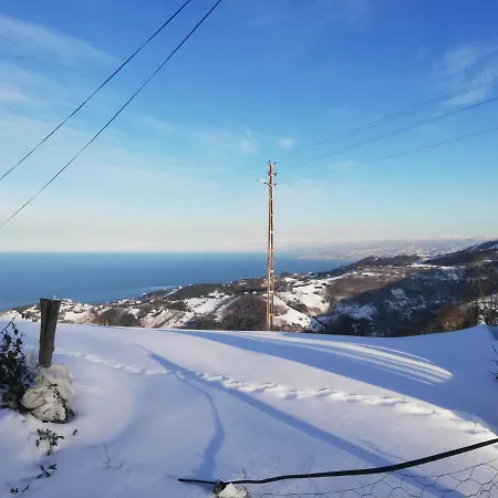 Sahile Yakin Dag Koyunde Bir